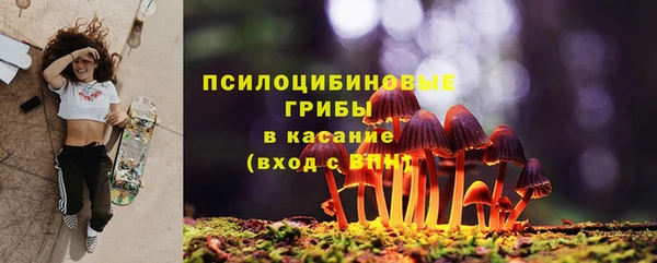 мяу мяу мука Алексин