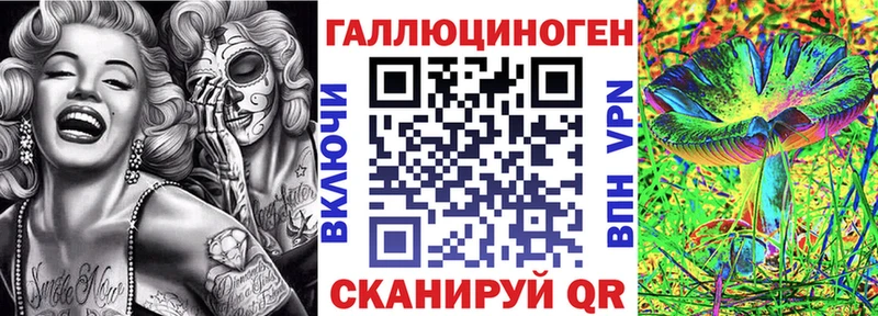 цена   Лесной  Галлюциногенные грибы мицелий 